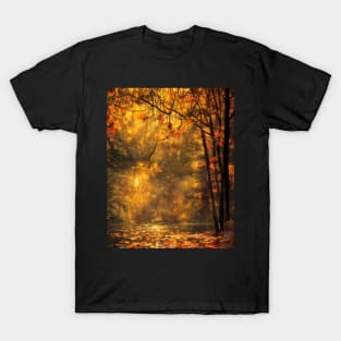 A pond in a forest in autumn T-Shirt